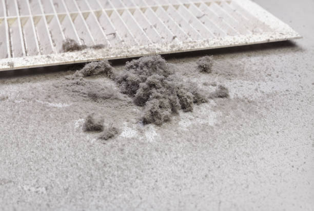 Best Best Air Duct Cleaning Company  in Maysville, MO