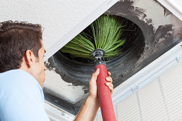 Best Ventilation Cleaning Services  in Maysville, MO
