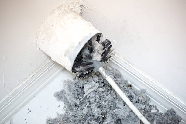 Best Dryer Vent Cleaning Services  in Maysville, MO